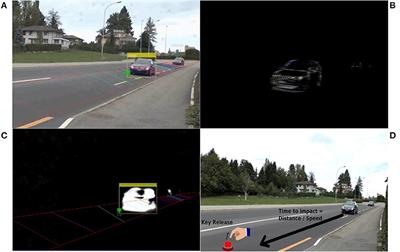 The Relative Contribution of Executive Functions and Aging on Attentional Control During Road Crossing